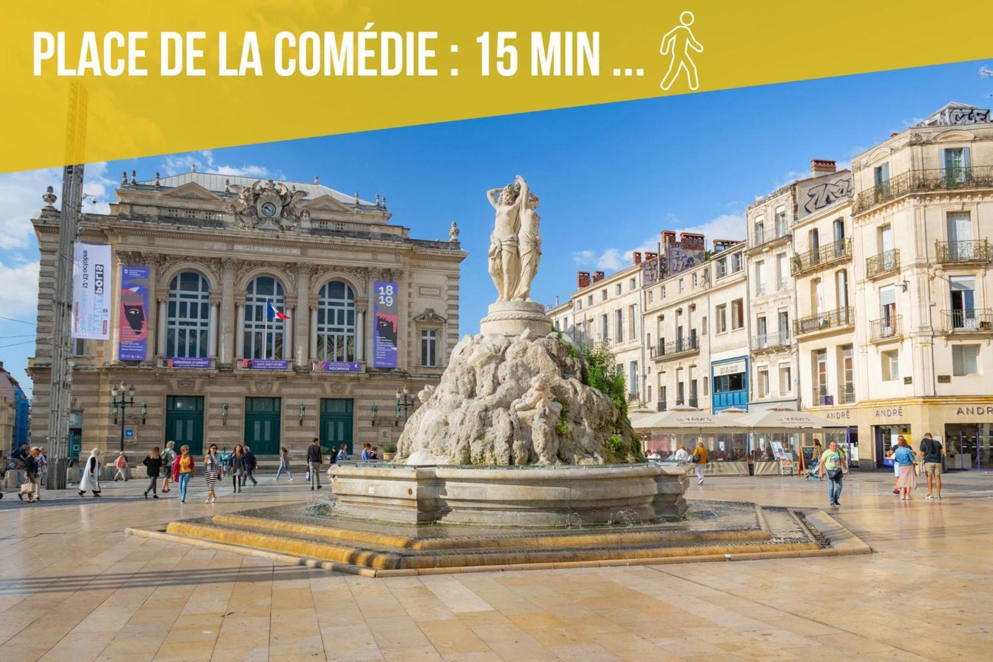 Amja Proche Clinique Saint-Roch Apt 3 Chambres 3 Salles De Bain Parking Gratuit Ideal Famille Groupe Coworking 10 Min Centre Ville 10 Min Plage 5 Min Sortie Autoroute Монпельє Екстер'єр фото